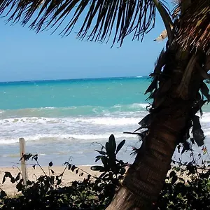 https://ivbb-beach-studio.greaterantilleshotels.net